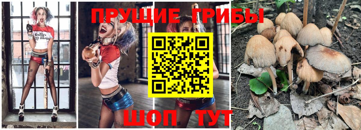 Псилоцибиновые грибы Psilocybe  Галлюциногенные грибы MAGIC MUSHROOMS  где купить наркоту  Вход с VPN  Евпатория 