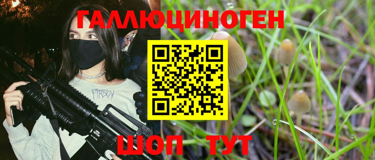 Галлюциногенные грибы MAGIC MUSHROOMS Евпатория